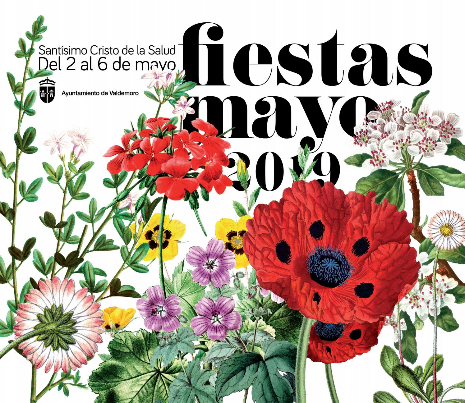 Fiestas patronales en honor al Santísimo Cristo de la Salud 2019 Valdemoro